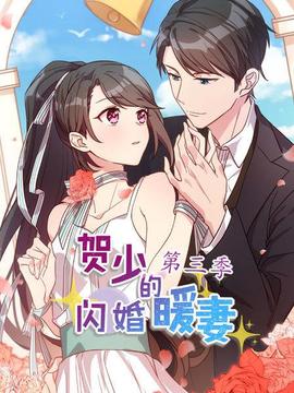 贺少的闪婚暖妻第三季 - 国产动漫在线观看
