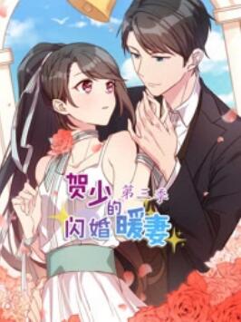 贺少的闪婚暖妻 动态漫第三季 - 国产动漫在线观看